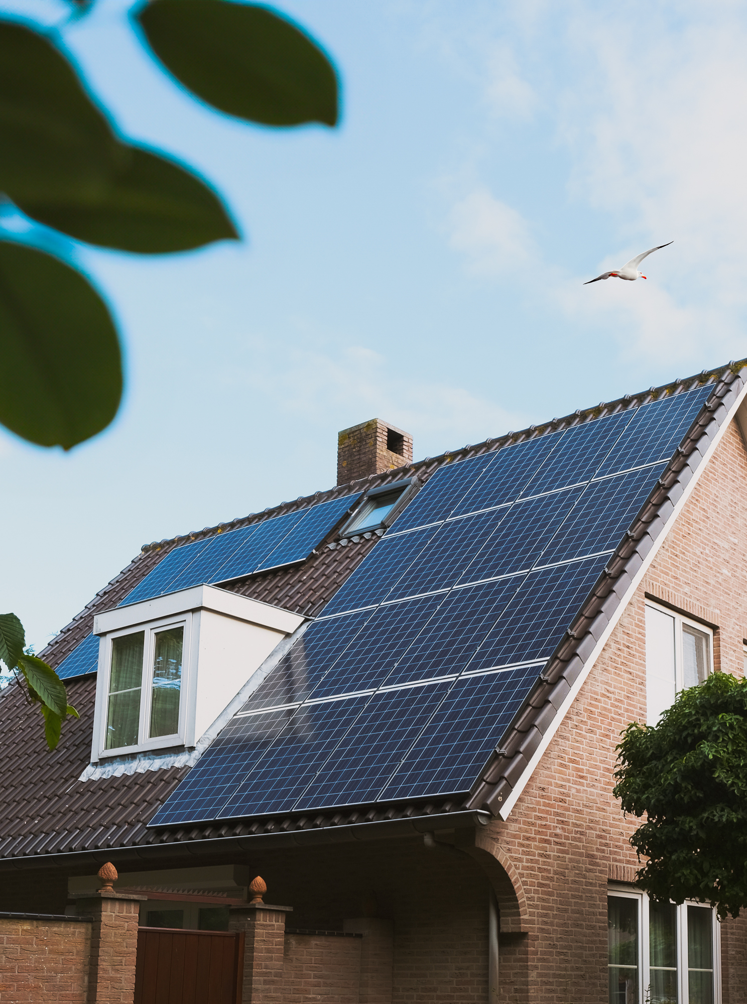 laadpalen, zonnepanelen, micro-omvormers, batterijen, zelfbouwpakketten, toon energie systemen, tes, heerle, bergen op zoom, wouw, breda, roosendaal, halsteren, oud gastel, etten-leur, rijsbergen, hoogerheide, ossendrecht, rucphen, prinsenbeek, rijen, tilburg, gilze, numansdorp, strijen, raamsdonkveer, waalwijk, wouw, steenbergen, zundert, oudenbosch, noord-brabant